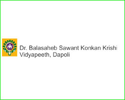 indian clients